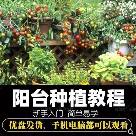 自学阳台种植蔬菜水果盆栽绿植盆景视频教程阳台科学种植技术课程-橘子资源网