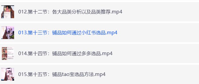 小红书电商高级课程 新手小白必学方法-橘子资源网