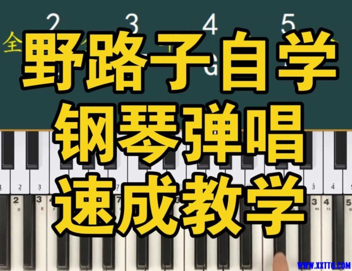 野路子钢琴弹唱100天速成系统课-橘子资源网