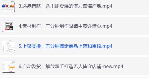 拼多多虚拟电商实战训练营-橘子资源网