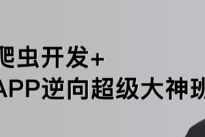【路飞学城】爬虫开发+APP逆向超级大神班-03期 - 带源码课件-橘子资源网
