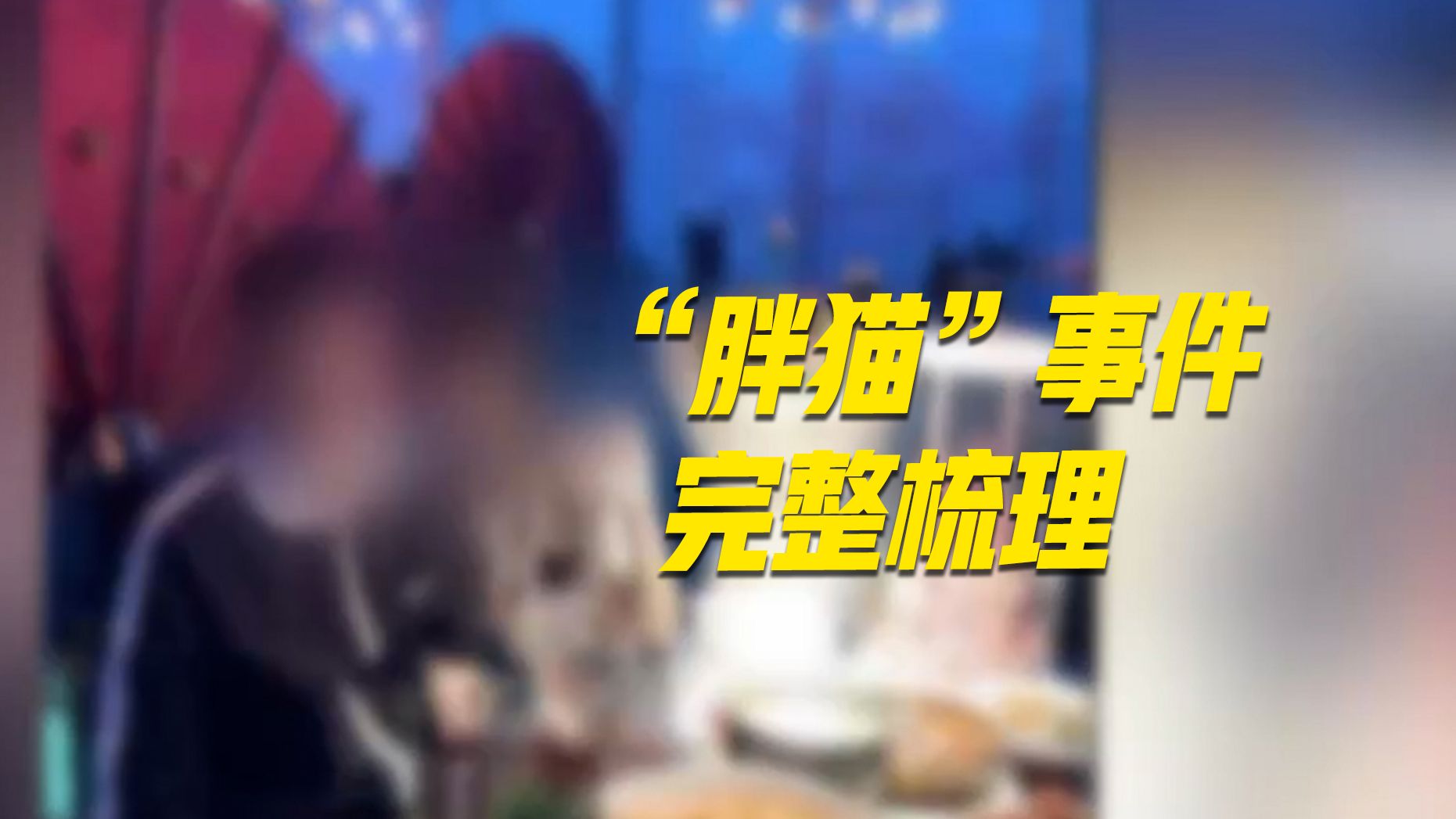 警方公布“胖猫”事件调查细节：“胖猫”姐姐网暴谭某 故意误导舆论-橘子资源网