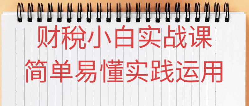 财稅小白实战课简单易懂实践运用-橘子资源网