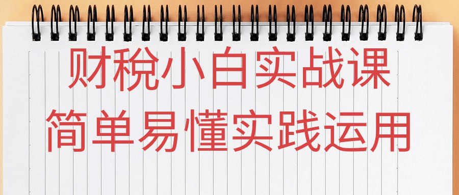 财稅小白实战课简单易懂实践运用-橘子资源网