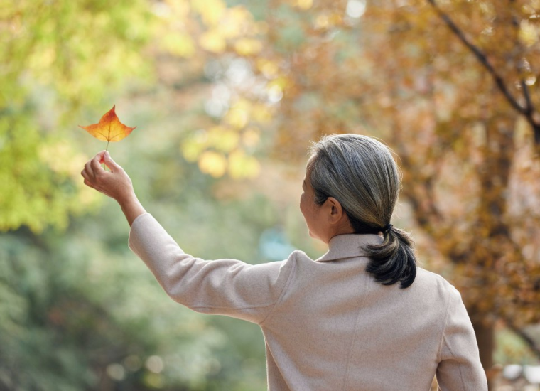 活到100岁吧”健康养生教程合集 视频+PDF-橘子资源网