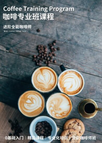 【专业咖啡师教学课程】咖啡设备及花式咖啡的制作-橘子资源网