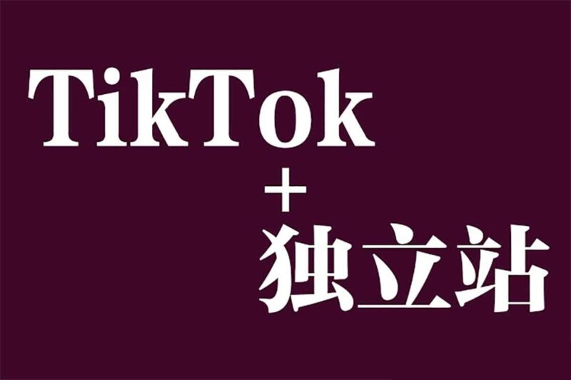 【Tiktok+独立站0基础入门到精通 跨境电商独立站新手必学课】-橘子资源网