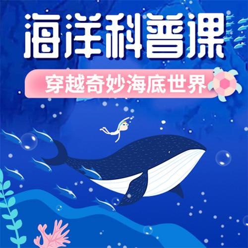 小灯塔少儿动画-海洋科普课-穿越奇妙海底世界（全）-橘子资源网