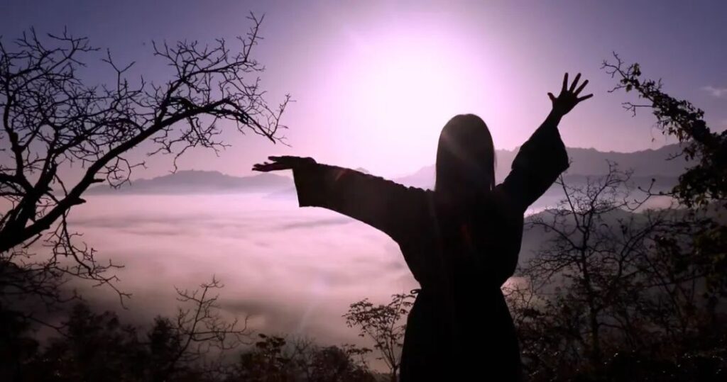 图片[1]-断更1217天的李子柒，仍然没有被遗忘-橘子资源网