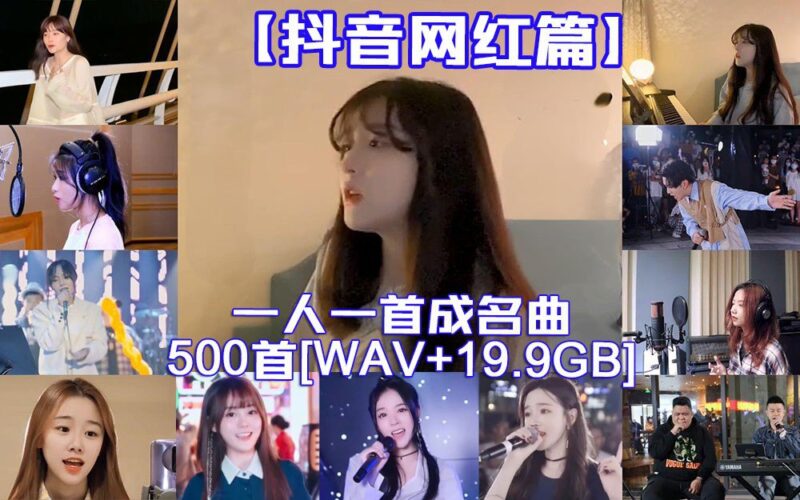 《抖音网红篇》一人一首网红成名曲整合500首无损歌曲每一首都是热搜榜神曲WAV-橘子资源网
