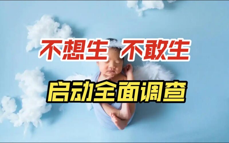 年轻人为啥“不想生 不敢生”,你问我呢?-橘子资源网