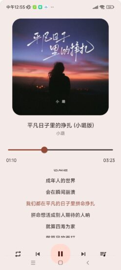 大师兄音乐_2.0.1 海量音乐多种音源的手机听歌神器【4.66MB】-橘子资源网