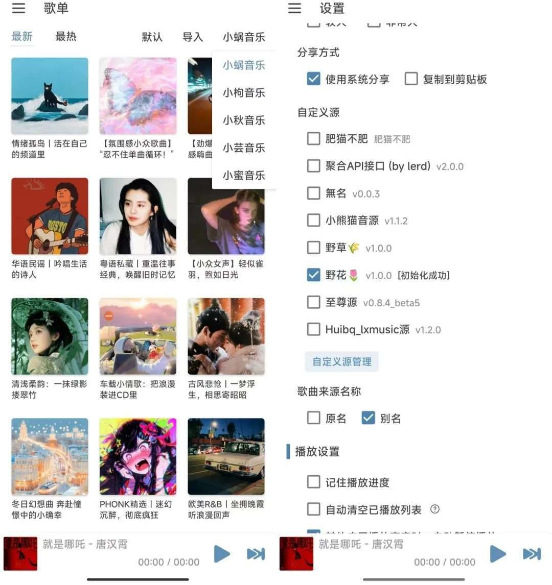 洛雪音乐Pro版 | 自带音源，Pro版就是好用【30.3MB】-橘子资源网